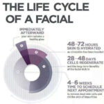 Life Cycle of a Facial