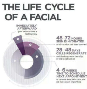 Life Cycle of a Facial