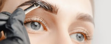 lashes and brows 1